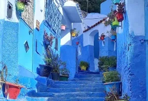 Blue street in Chefchaouen lined with colorful flower pots,Morocco